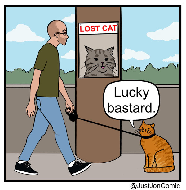 lost cat comic 