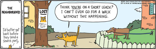 lost cat comic