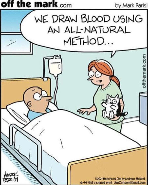 medical kitty comic