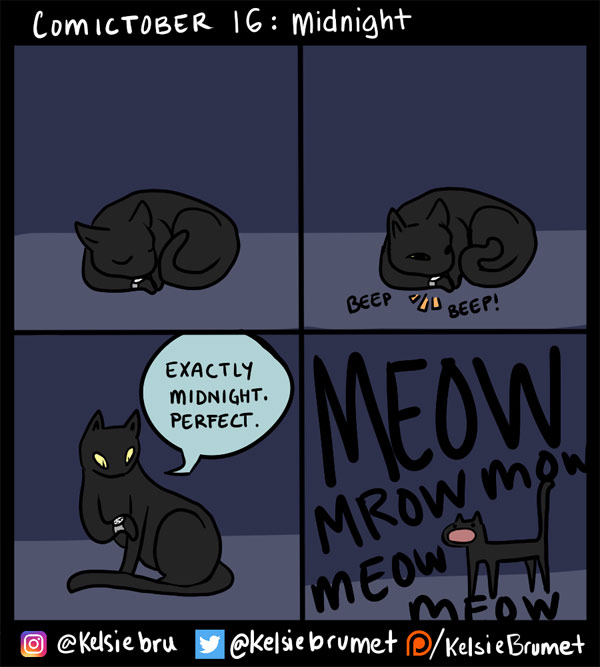 meow  time cat comic