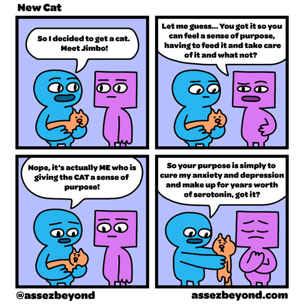 new cat comic