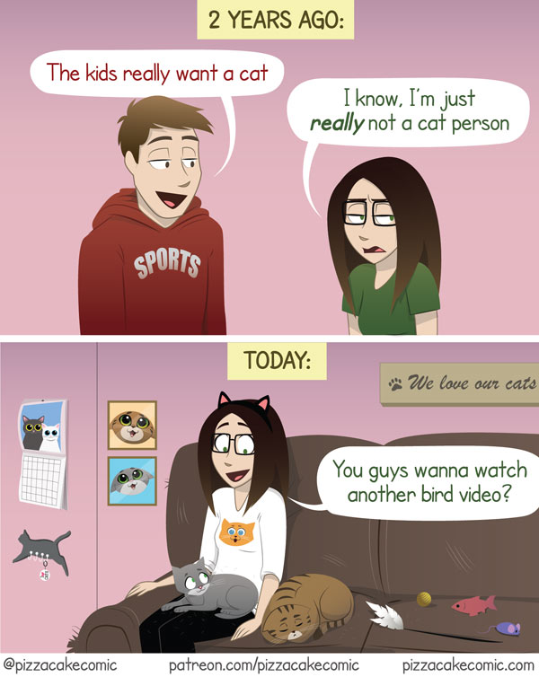 new cat owners comic