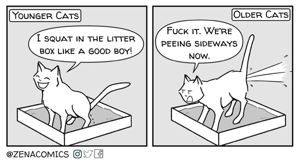 older cat comic
