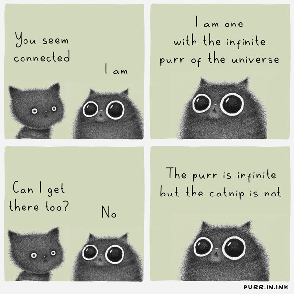 philosophy cat comic