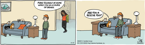 rescue cat comic