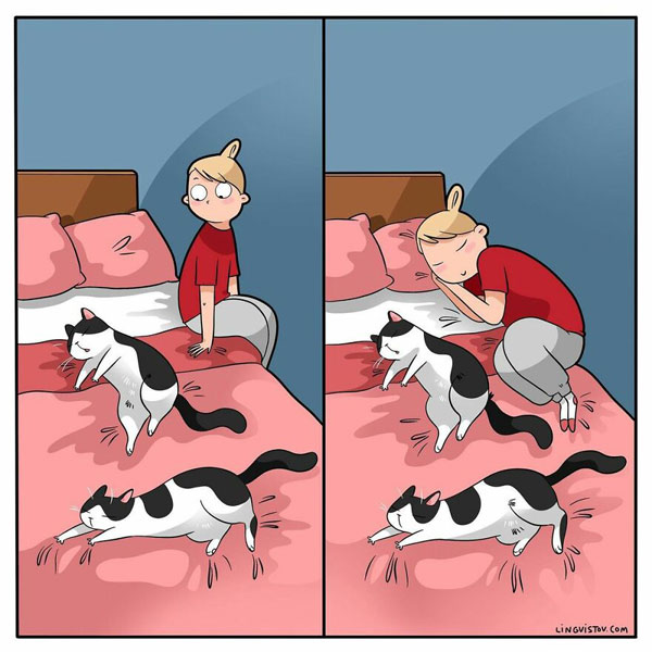 sleeping with cats cat comic