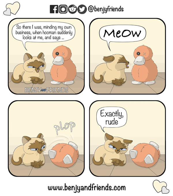 talking cat comic