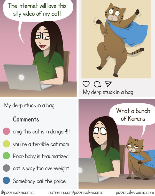viral cat comic