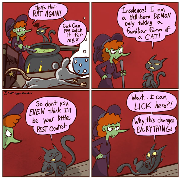 the witch's cat comic