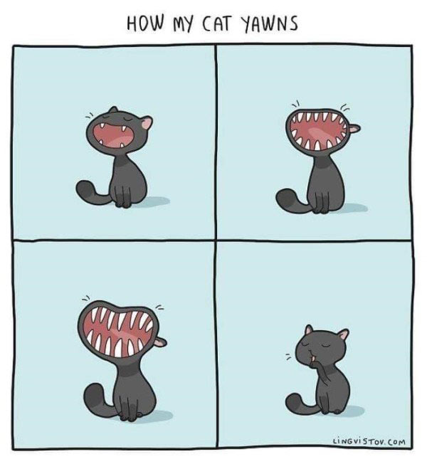 yawning cat comic 