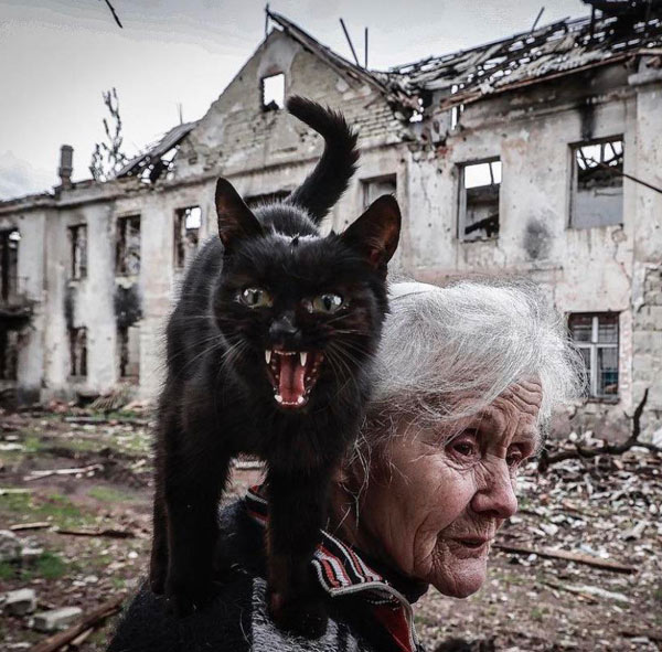 angry cat on old lady's shoulder