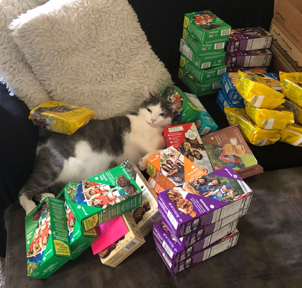 girl scout cookies cat