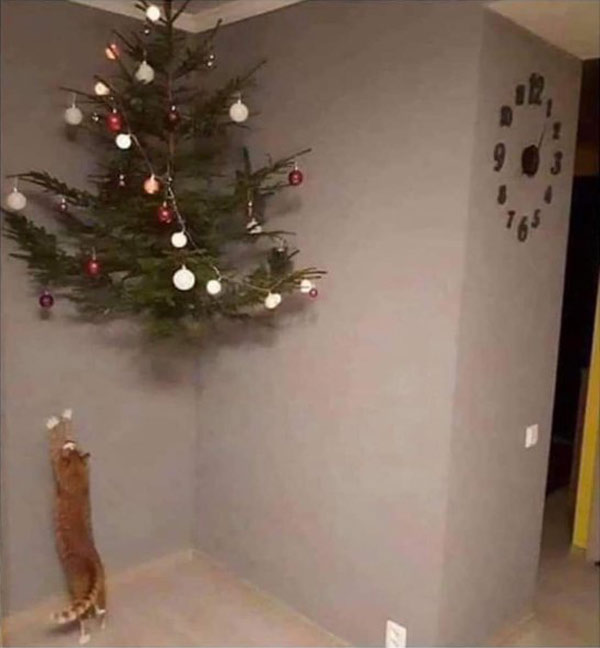 cat proof xmas tree