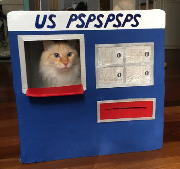 post office cat