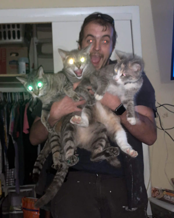 three demon cats