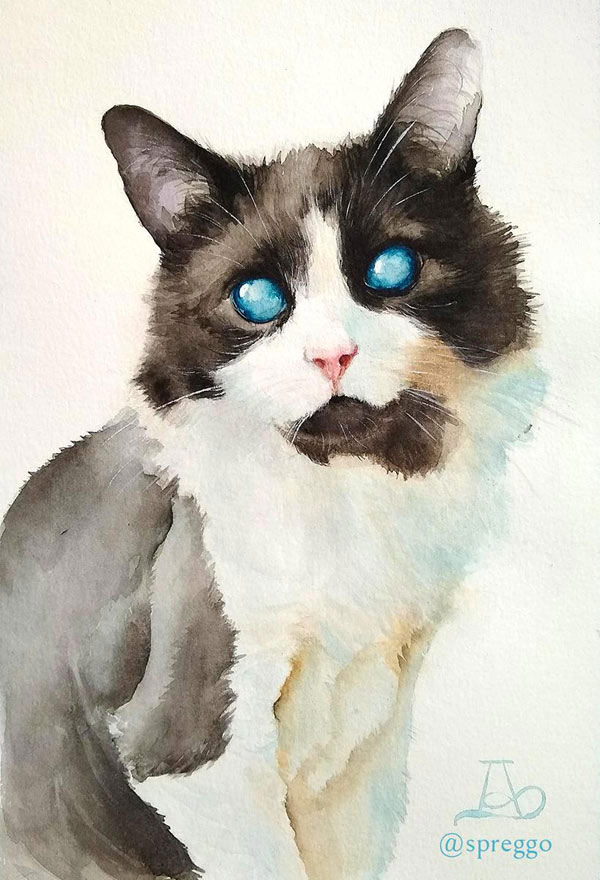 watercolor blind  cat art