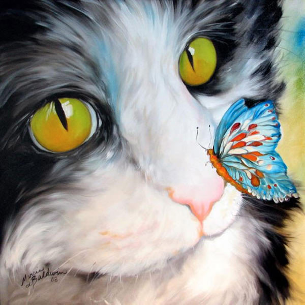 cat and butterfly art