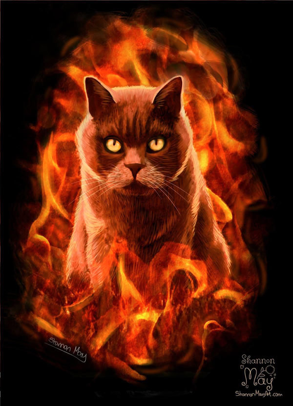 cat on fire art