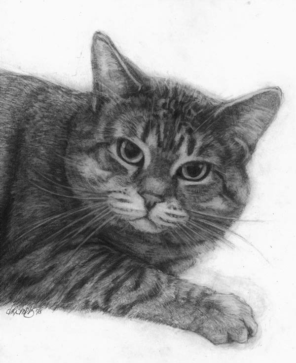 cat in graphite art
