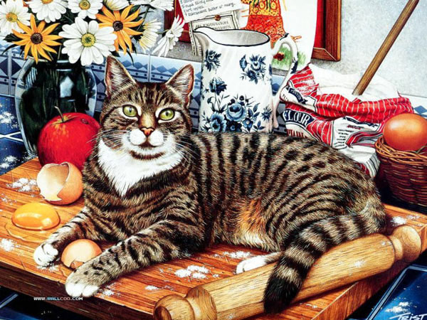 cat in kitchen art