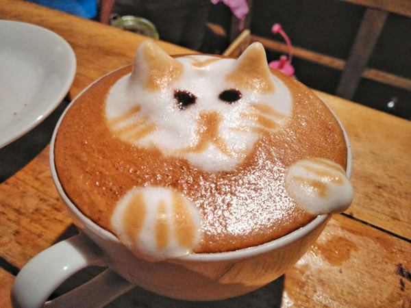 coffee that looks like a cat
