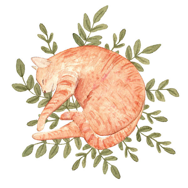 cat napping on leaves art