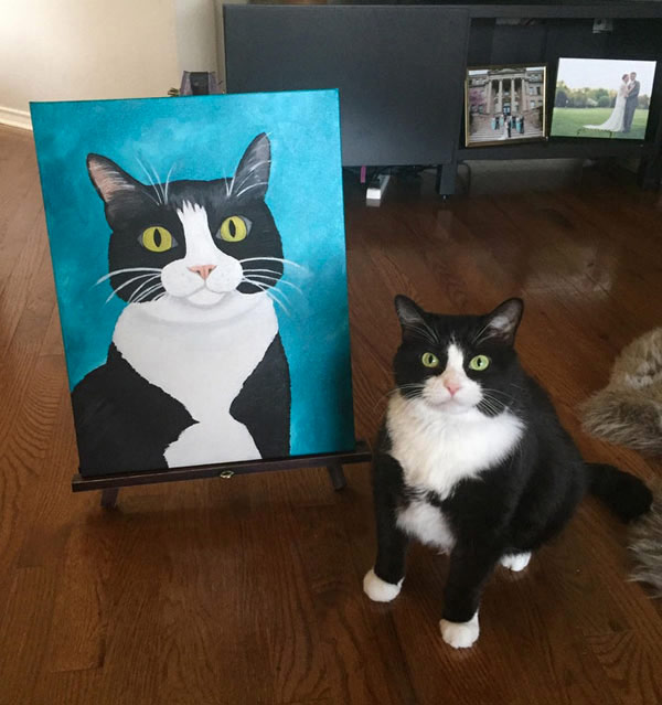 cat portrait and subject