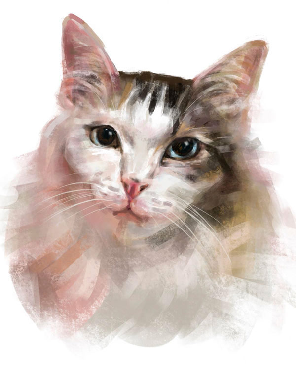 pink cat portrait art