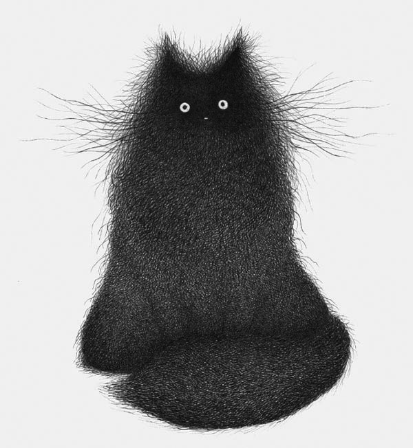 fluffy b&w ink  cat art