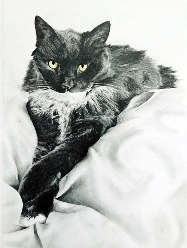 graphite cat art