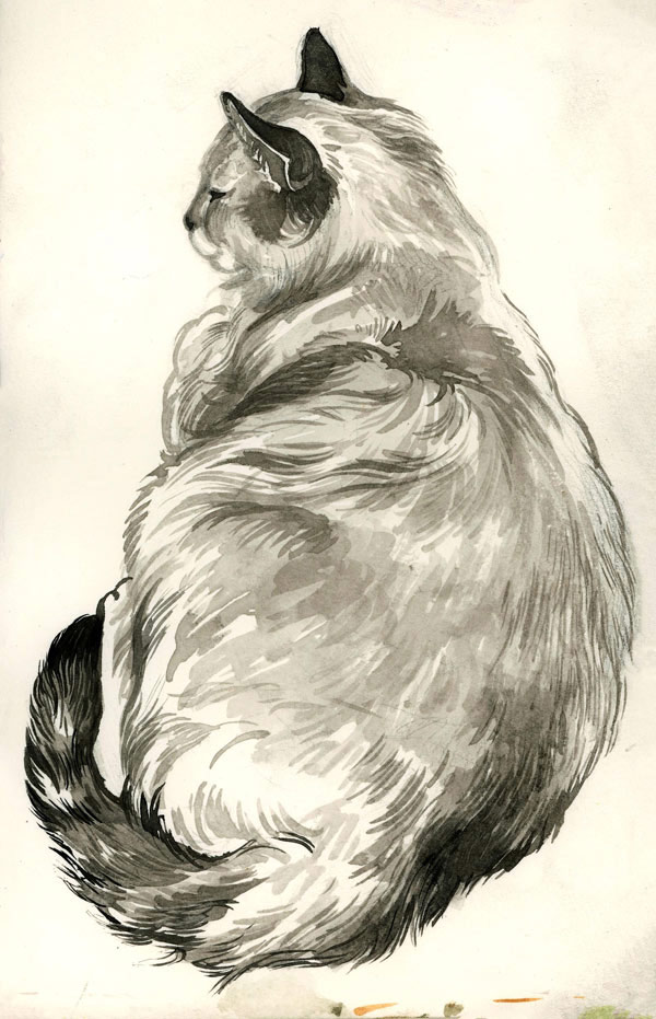 gray watercolor cat art