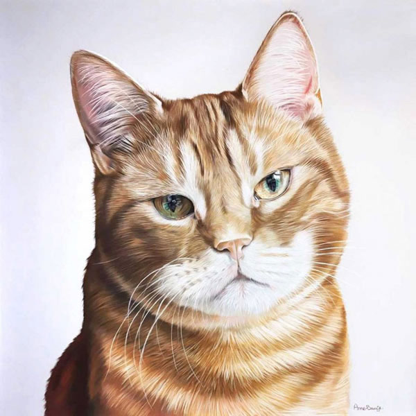 orange cat portrait art