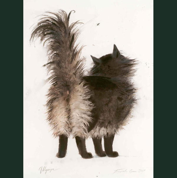 poofy tail cat art