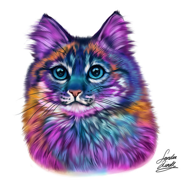 rainbow cat art