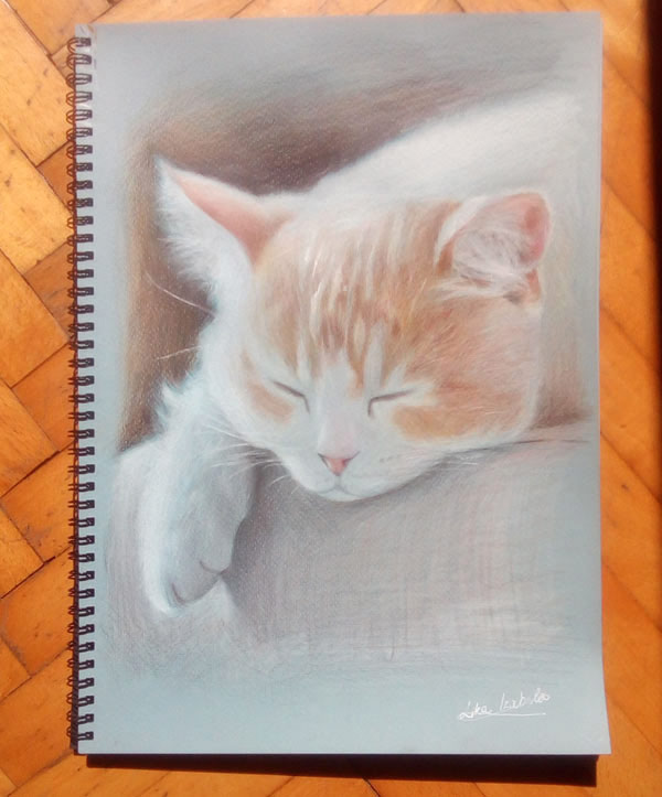 sleepy kitty art