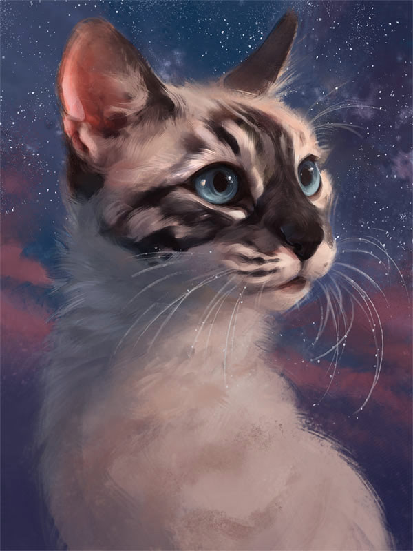 space kitten cat art