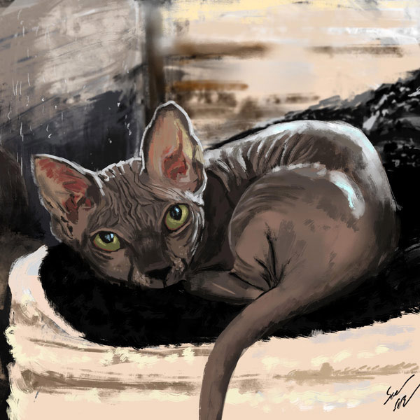 sphynx cat  art
