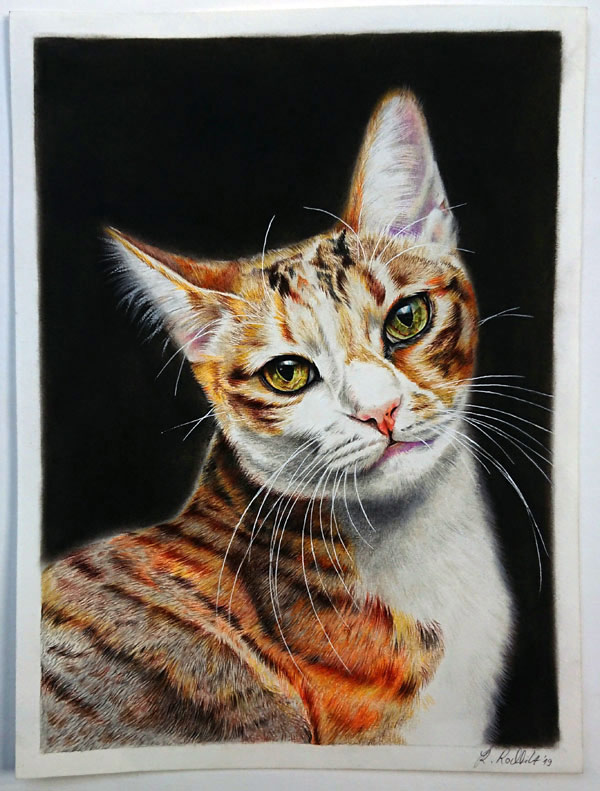 tabby cat portrait art