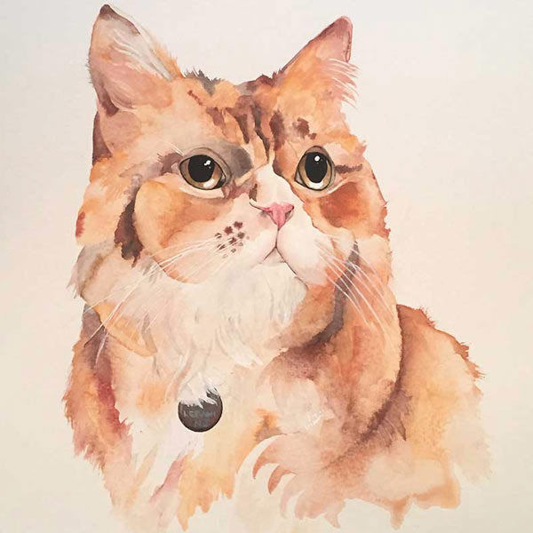 tan watercolor cat comic