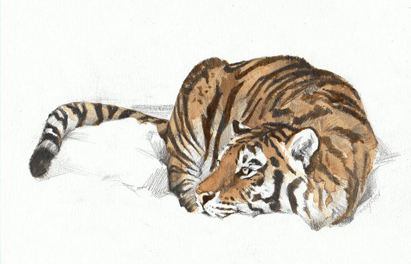 tiger in snow art