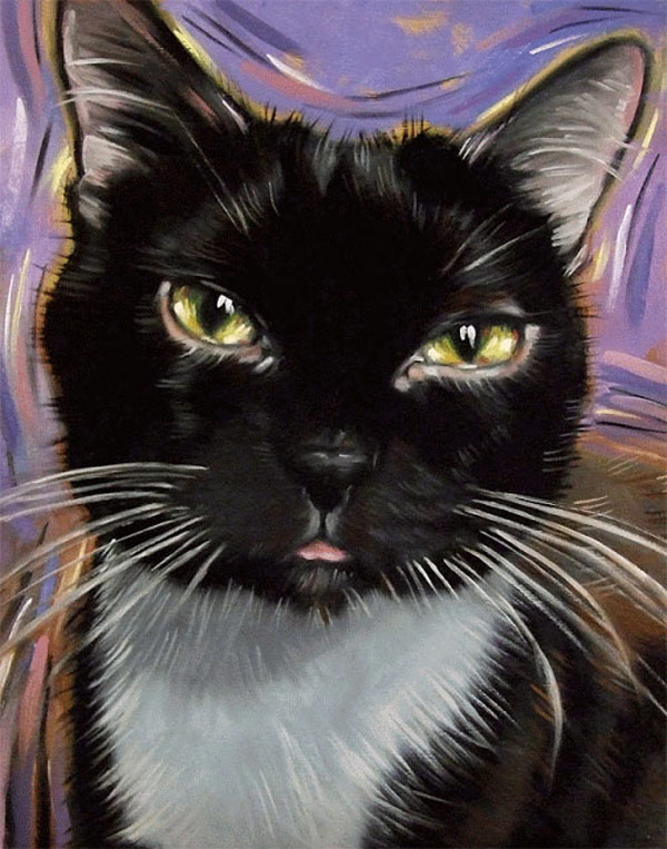 tuxedo cat squint art