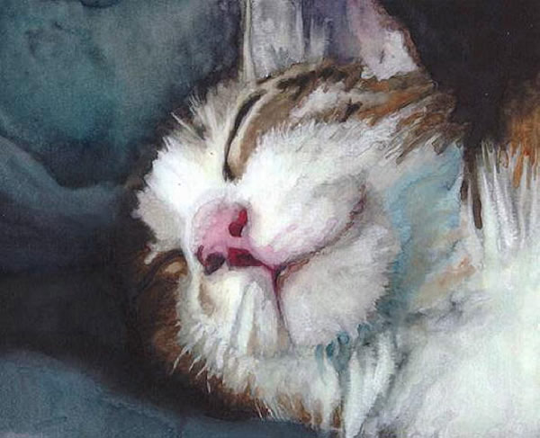 sleeping cat watercolor art