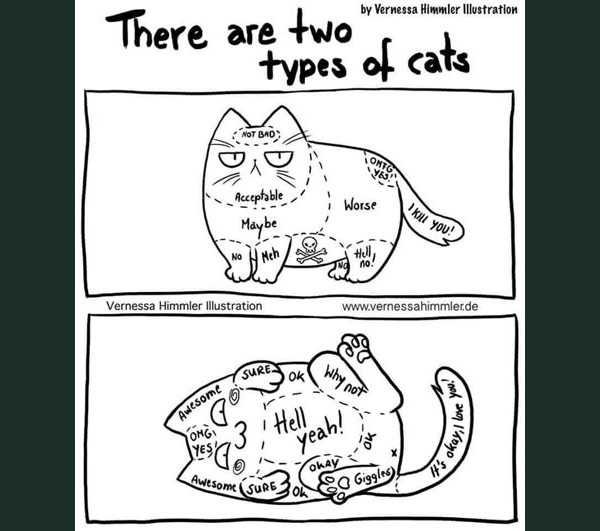 two typws of cats comic