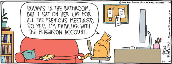 accountant cat comic