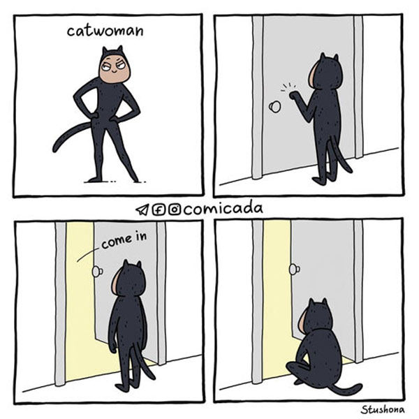 adventures of catwoman comic