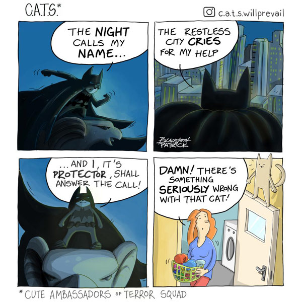 batman cat comic