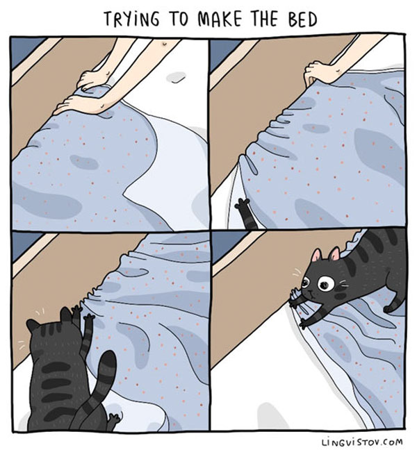 making the bed cat comic