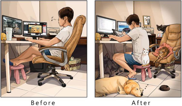 before and after pets comic
