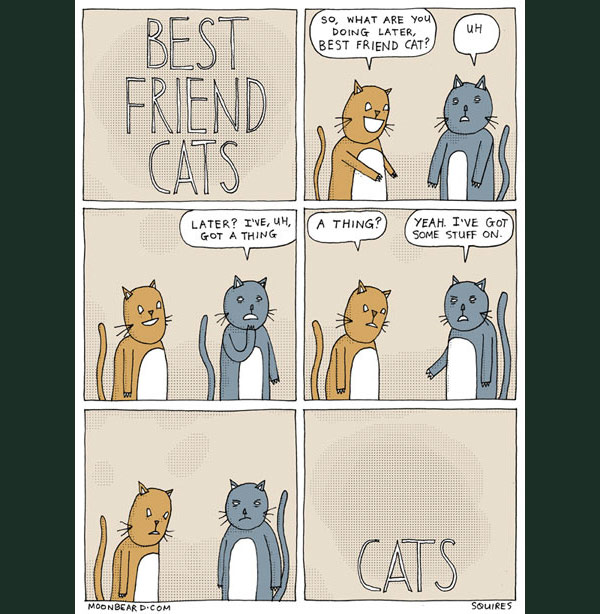 best friend cats  comic