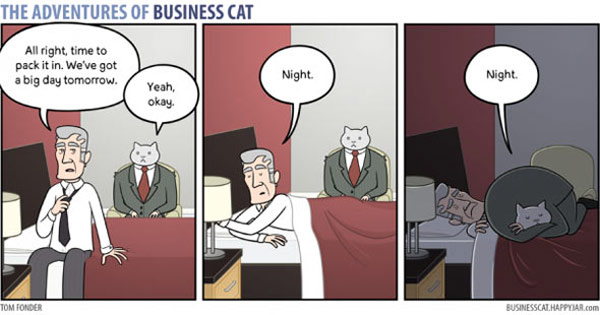 business cat comic